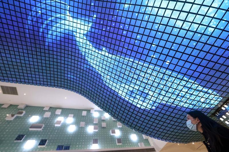 Industri video UHD China