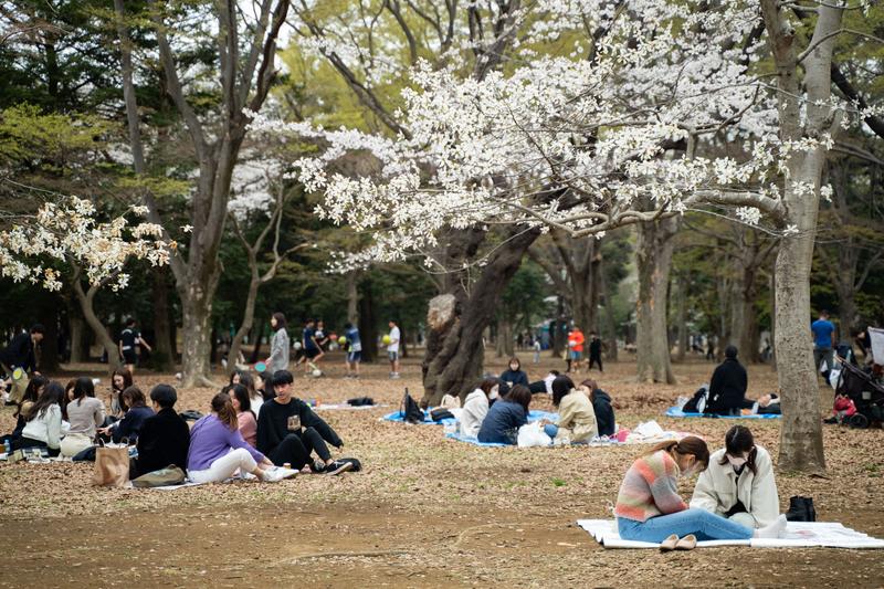 Populasi anak di Jepang