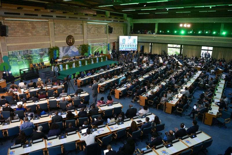UN Habitat Assembly