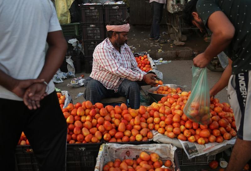 Harga tomat di India