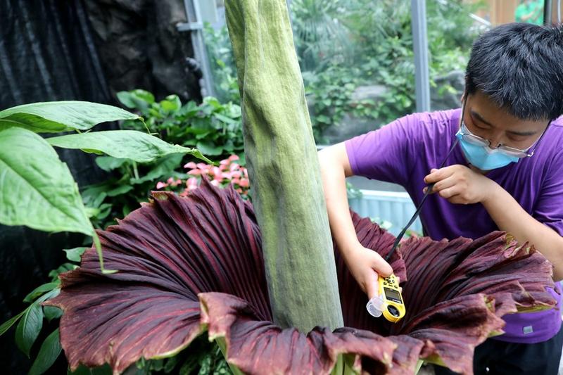 Kebun Raya Nasional China
