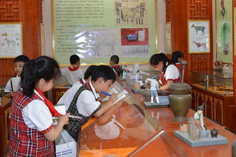 Pengobatan hewan tradisional China