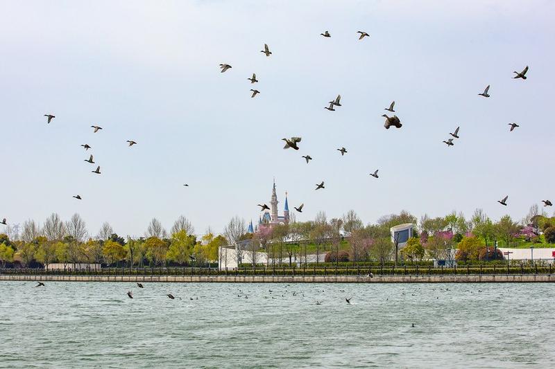 Wilayah Delta Sungai Yangtze