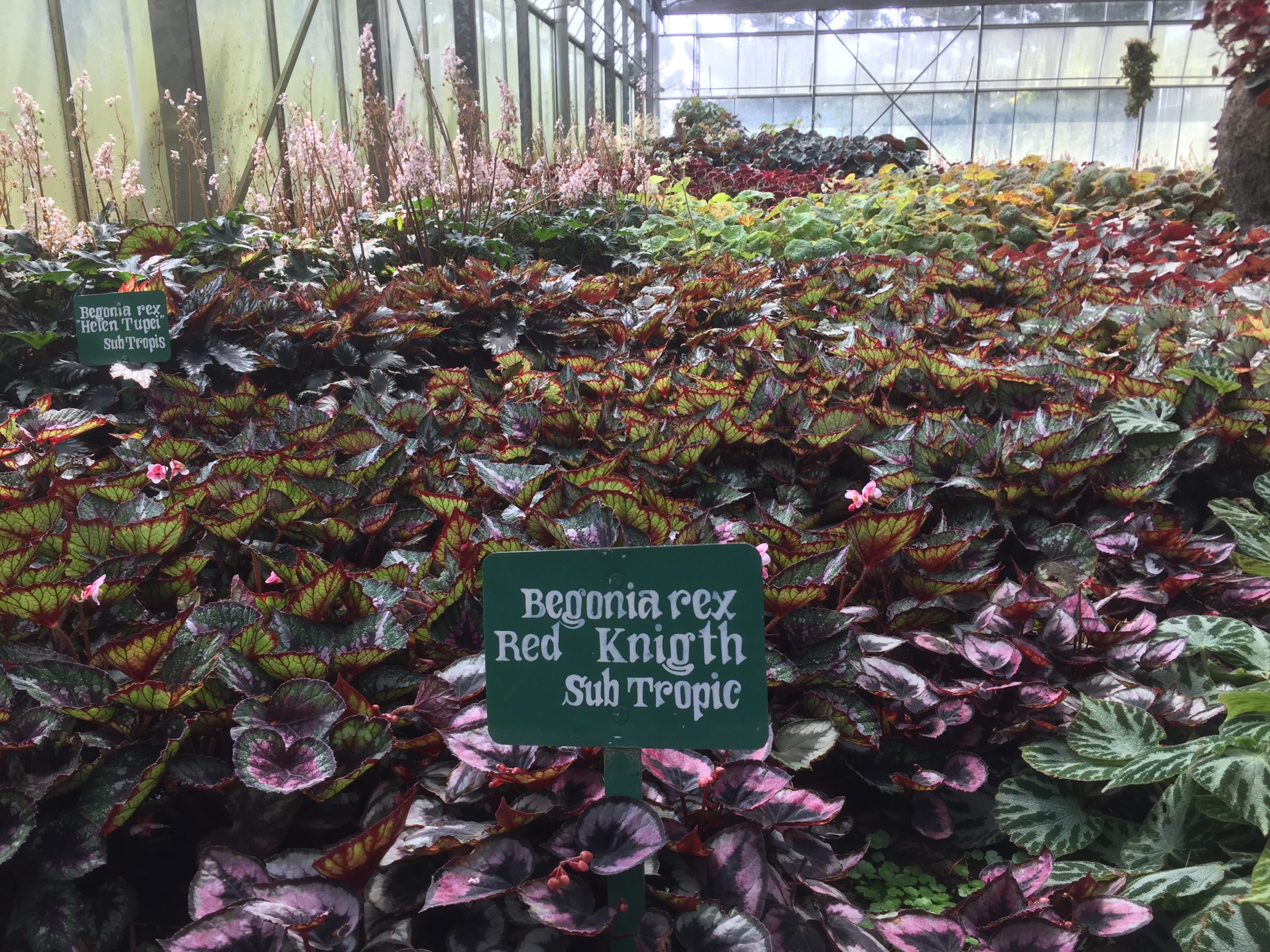 Keanekaragaman hayati terestrial Indonesia