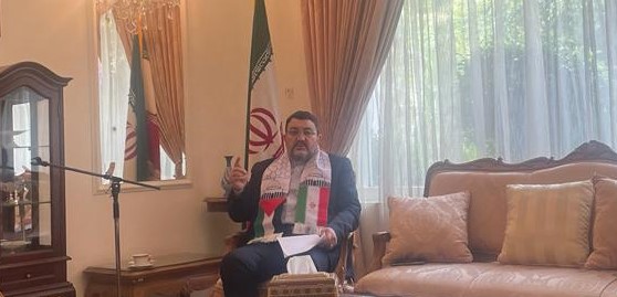 Dukungan politik untuk Palestina