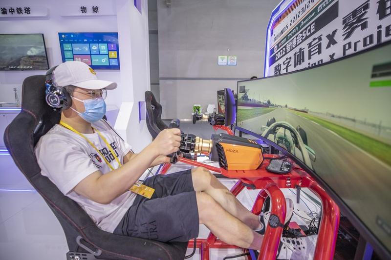 Jumlah pengguna olahraga elektronik