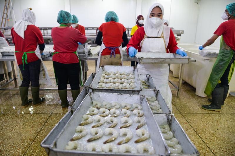 Pembangunan budi daya udang