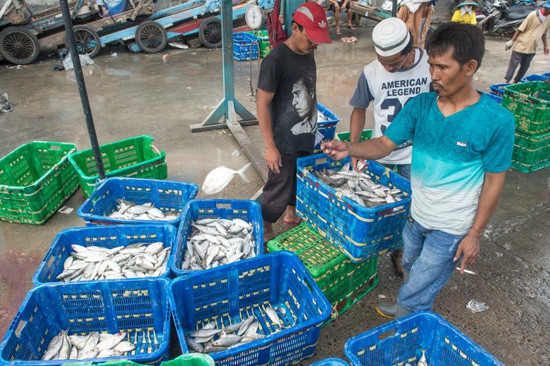 Kerja sama perikanan dan