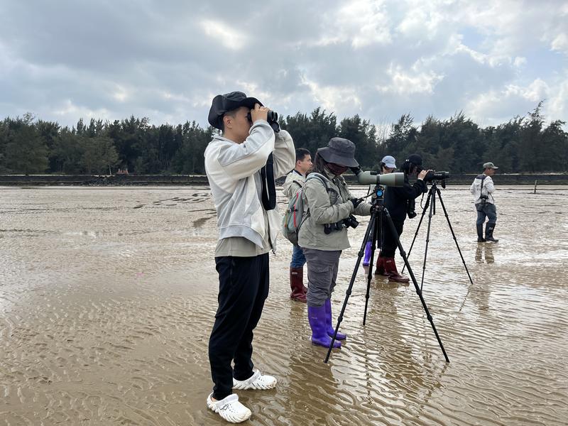 Pulau tropis di China