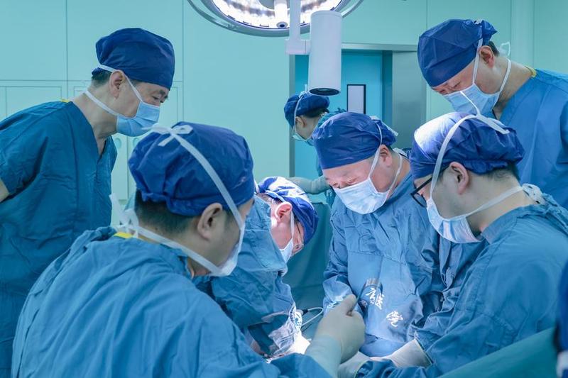 Operasi transplantasi ginjal babi