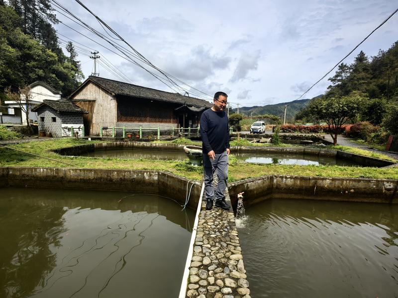 Pembudidayaan ikan air tawar