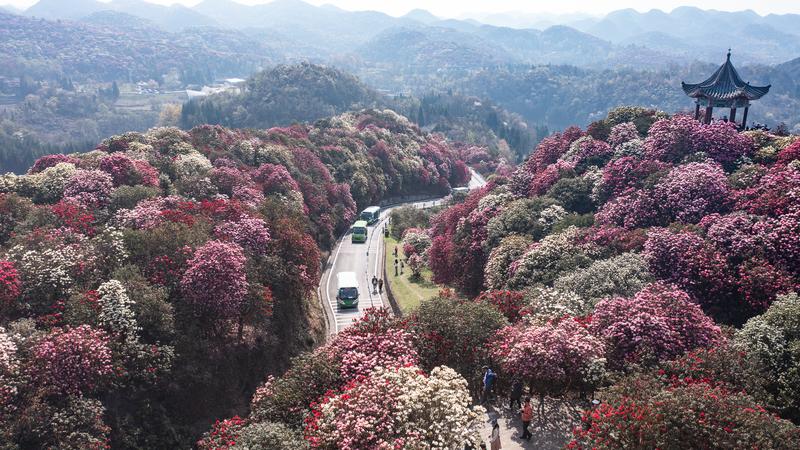 Rute kereta pengangkut gipsum