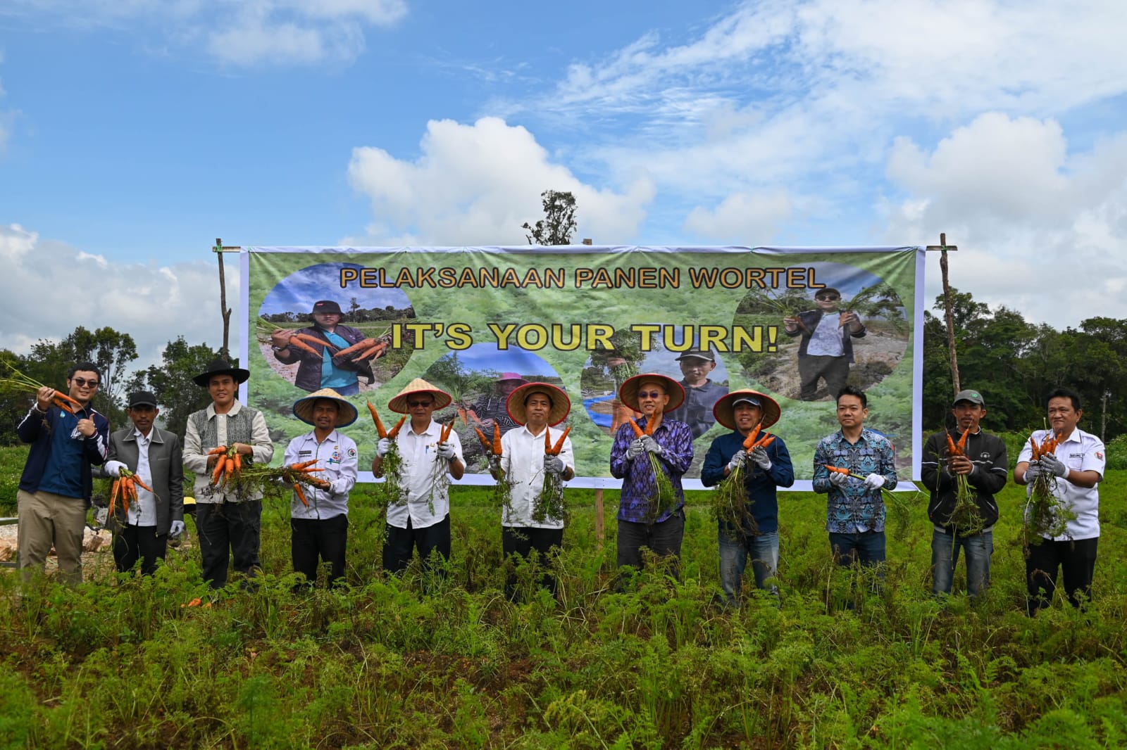 Sistem pertanian tanaman rotasi