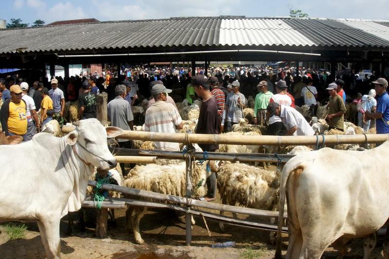 Idul Adha membawa kemakmuran
