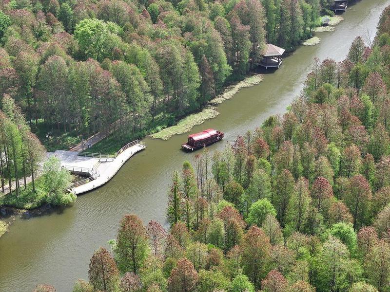 Konservasi dan restorasi ekologis