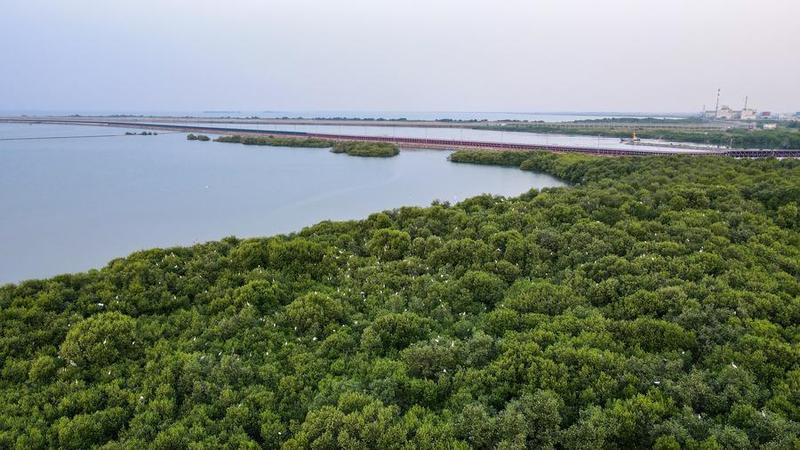 PT Shenhua Guohua