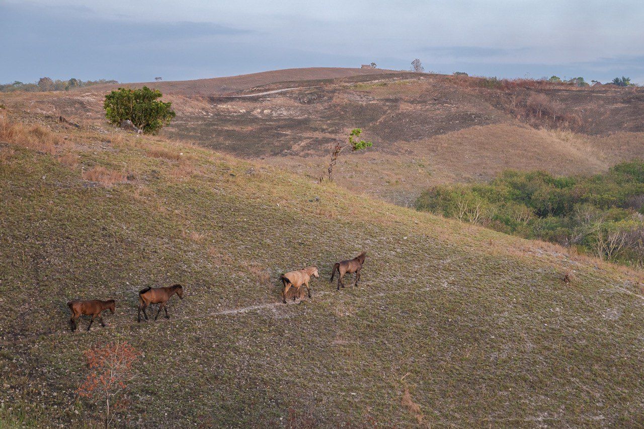Pulau Sumba sudah dihuni