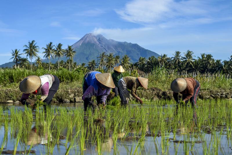 rata-rata pengeluaran pelancong