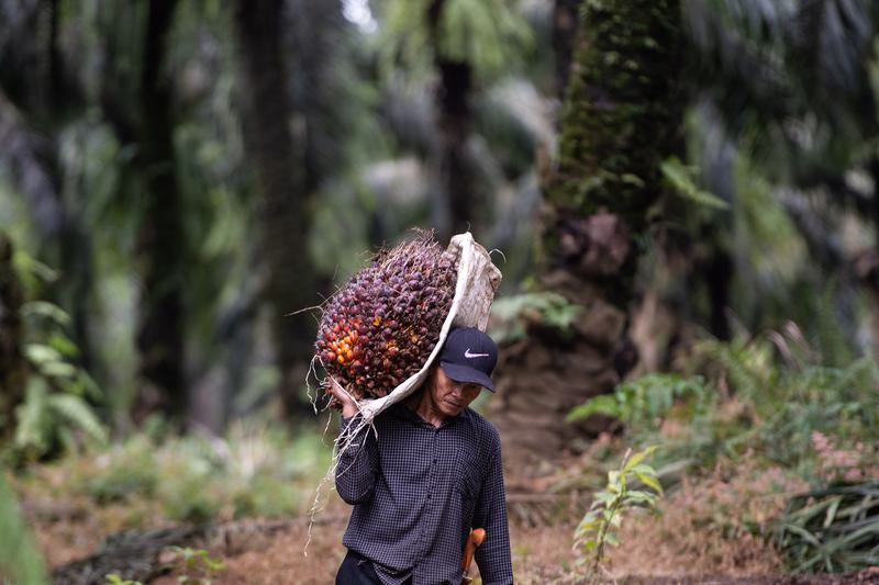 Indonesia mencatatkan pertumbuhan produk