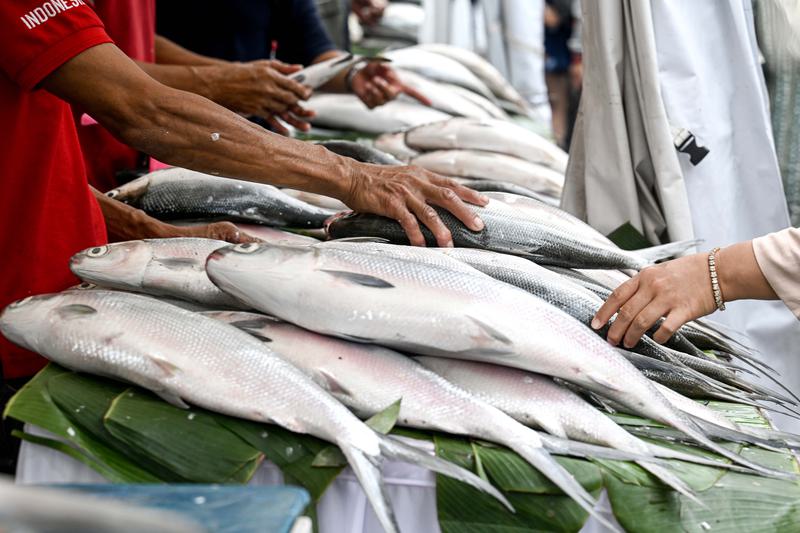 Kawasan industri perikanan modern