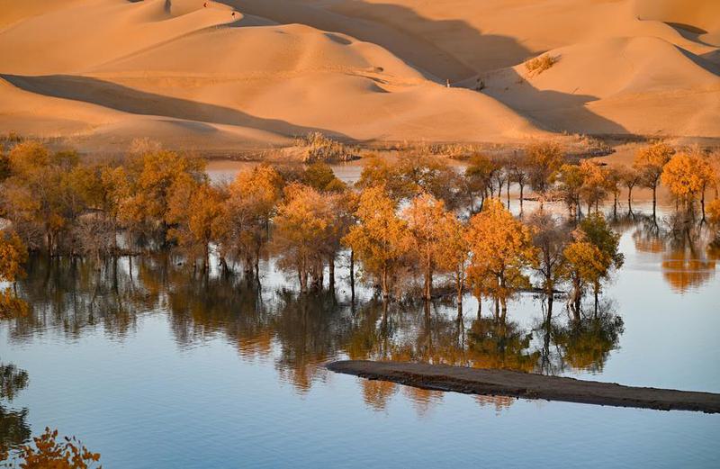 pendorong utama perbaikan ekologis
