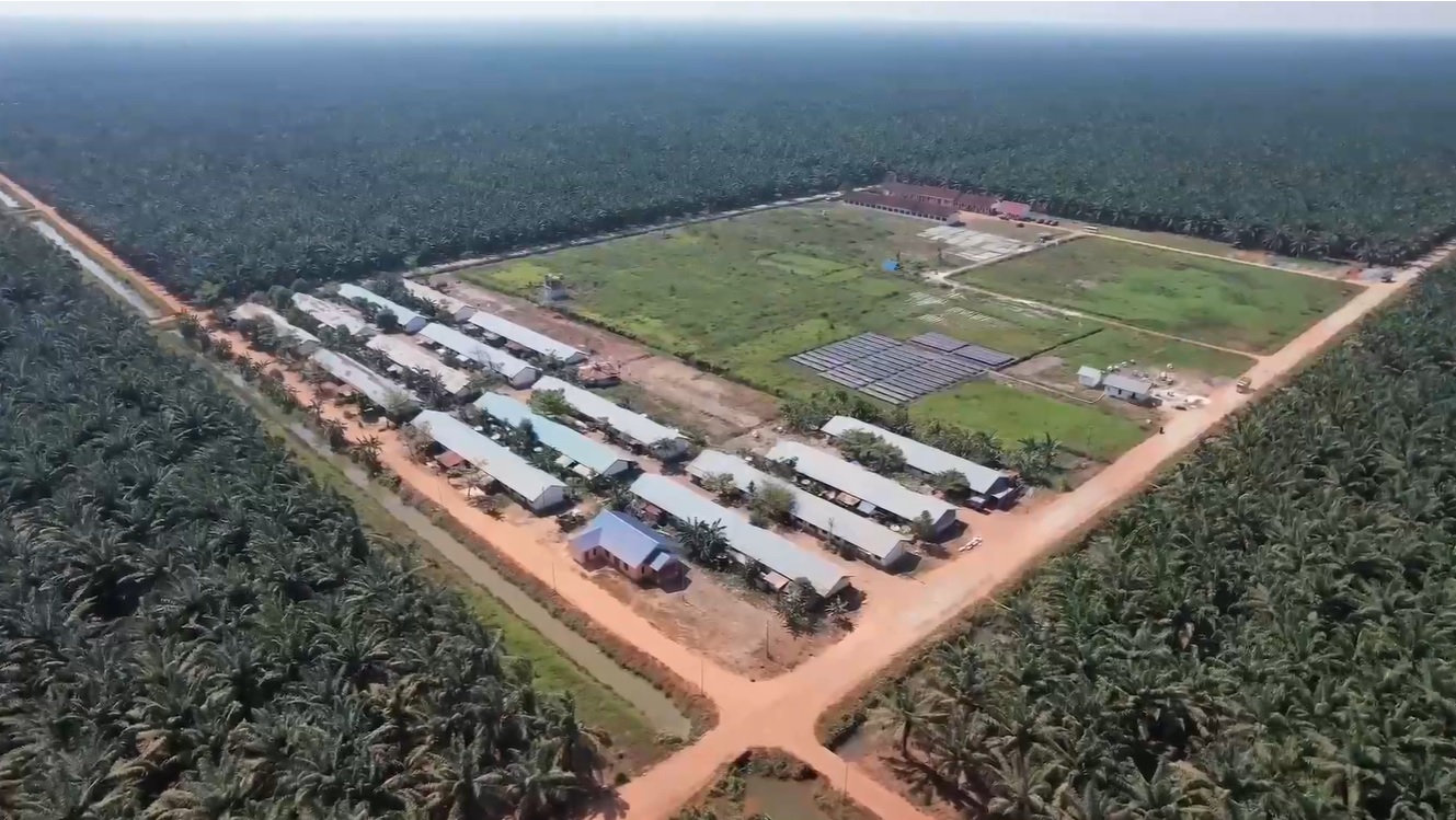 produksi minyak kelapa sawit