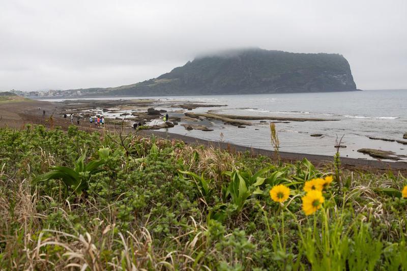 laguna pesisir merupakan ekosistem