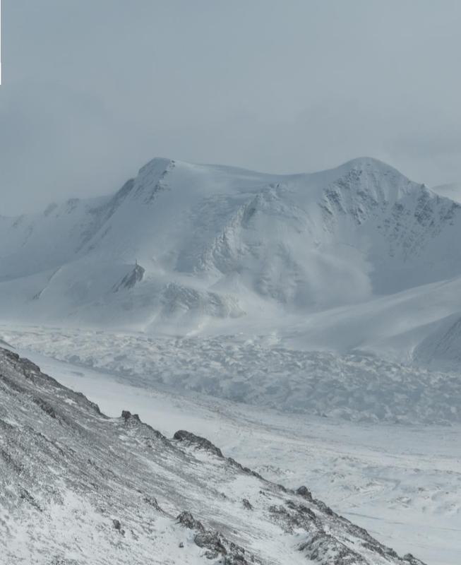 resorpsi unsur hara merupakan