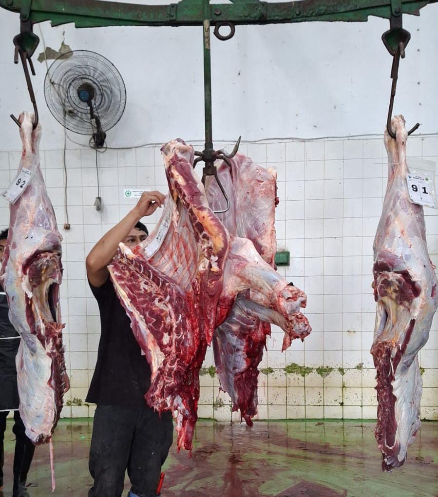 the sacrificial animal slaughtering activity