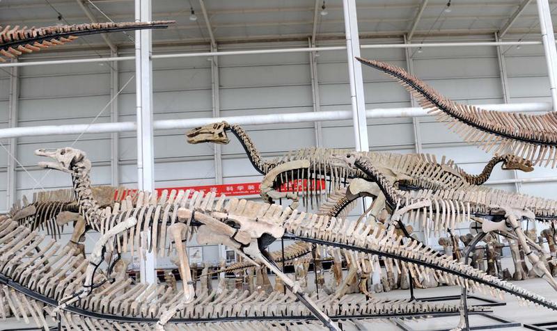 tyrannosaurus terbesar di Asia