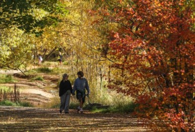 Canterbury menghadapi masalah nitrat