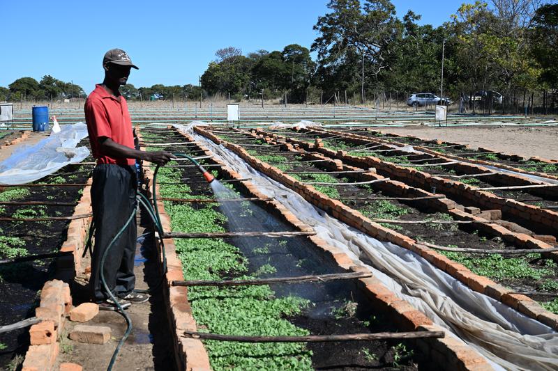 Konferensi global pengendalian tembakau