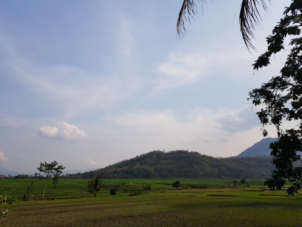 Mayoritas desa di Indonesia