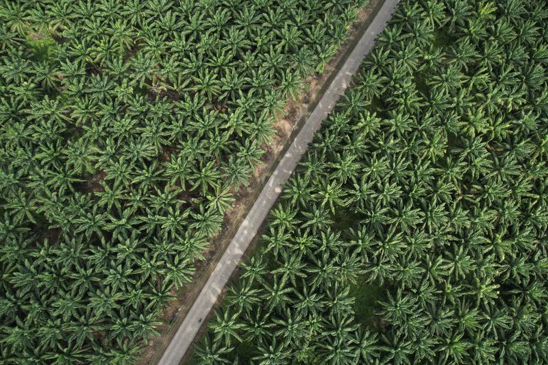 The implementation of B40 biodiesel